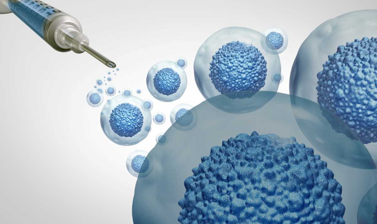 Lipocube Golden Filler Kök Hücre Webinarı